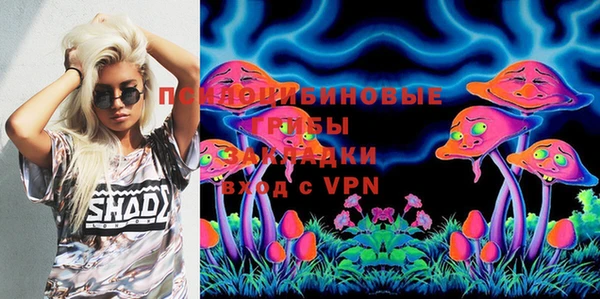 apvp Аркадак