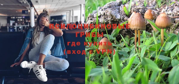 apvp Аркадак