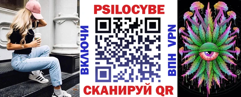 Купить где  Бежецк  Псилоцибиновые грибы Psilocybe 